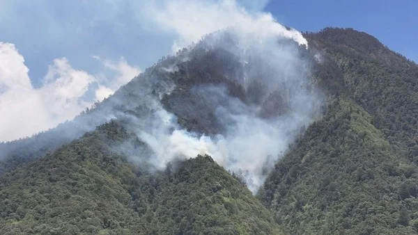 Tiga Titik Karhutla Melanda Hutan Malang dan Batu, Dua Lokasi Masih Terbakar